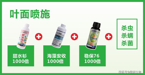 微新生物柑橘公開課 11月份沃柑關(guān)鍵管理要點與生物制劑營養(yǎng)方案