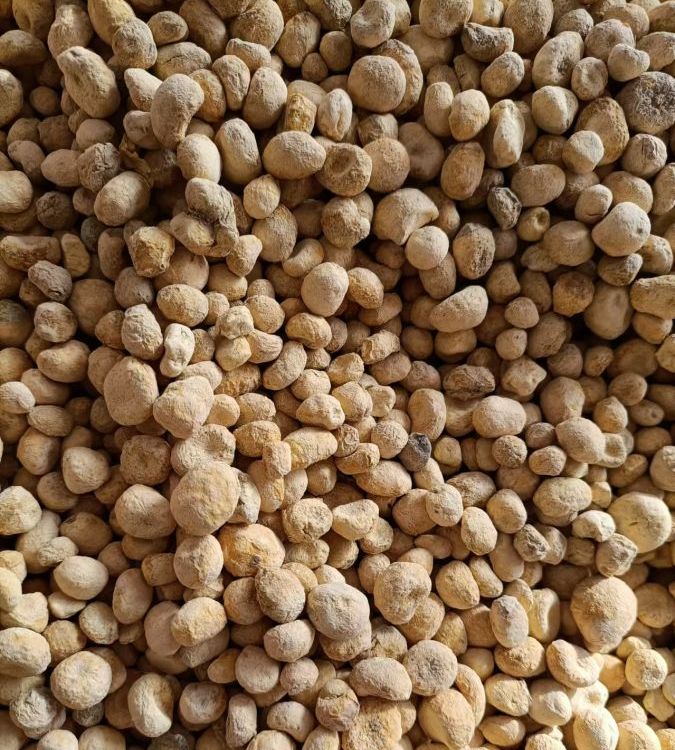 天然本草，健康之選 慶騰堂藥業精選無硫楮實子