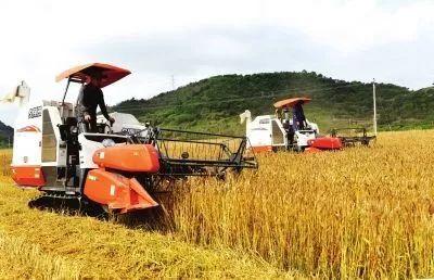 山東實施八大舉措，為鄉村振興注入新動能