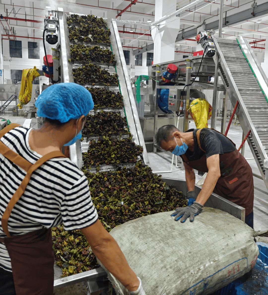 上林縣新增初級農產品產地倉，打造現代農業流通新樞紐